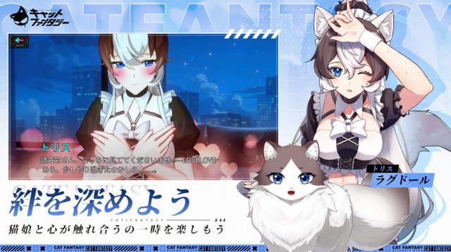 キャットファンタジーの紹介画像