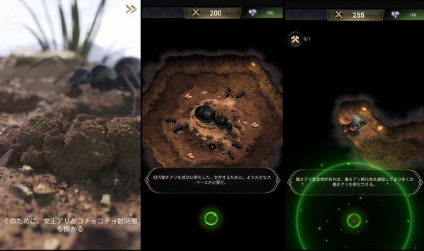 街づくりゲームアプリ「ザ・アンツ」のプレイ画像